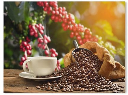 Puzzle 1000 Teile，Dampfende Tasse Kaffee mit Kaffeebohnen，Karton Puzzle 1000 Teile Spielzeug Für Erwachsene Dekompressionsspiel（50x70cm-232