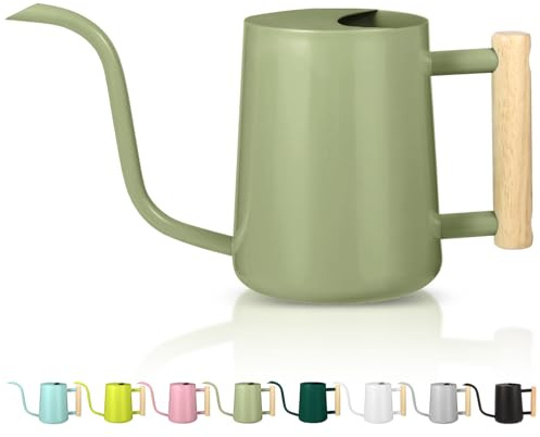 Gießkanne für Zimmerpflanzen, 1000 ml, Edelstahl, Metall, Modern Dekorativ Mit Langem Auslauf für Innenbereich, Bonsai, Gartenblumen, Salbeigrün