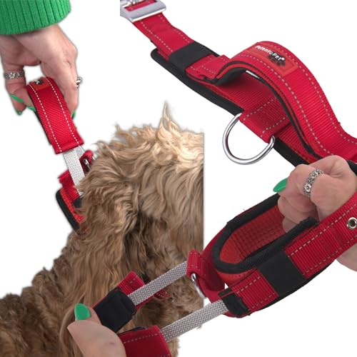 Hundehalsband mit integrierter Leine, Größe L 48-60 cm, rot, mit reflektierender Naht