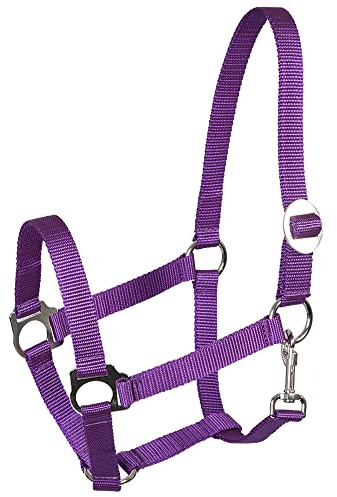 Pfiff 005543 Halfter, Weidehalfter Stallhalfter, Kunststoff Lila Pony Fohlen