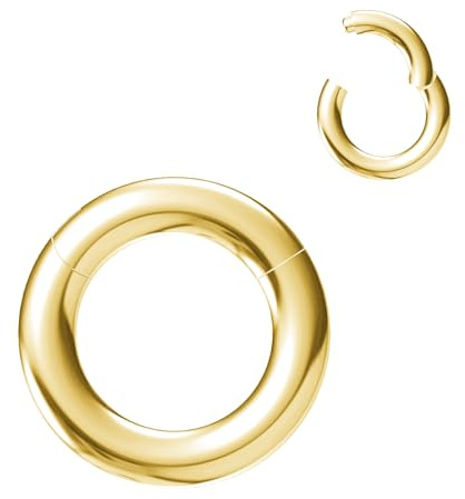 NewkeepsR 316L Edelstahl Hinged Segmentring Augenbraue Conch Daith Helix Lippe Nase Ohr Rook Septum Clicker Ringe