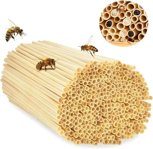 FENGCHUANG 500 Pièces Hotel a Insectes Kit Maison d'abeille 14.5 cm Longueur pour Hôtel à Abeilles Aide à la Nidification pour Abeilles Papillons et Autre Insecte