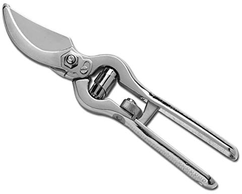 Ausonia - Forbice vigna forgiata spalla lucida nichelata cm 19