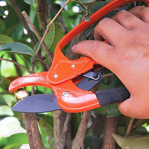 The Ratchet branches d'élagage Cisailles à intégrer un au système de cliquet réglable 3 Action Ciseaux Jardin réparation Ad1021 de cisaillement