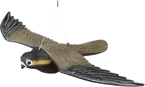 Halcón espanta pájaros y roedores de 52 cm de envergadura. Ideal contra Las molestas Palomas, mirlos y urracas.
