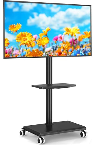 5Rcom TV Portatile con Piedistallo con Ruote per 27-55 Pollici, Supporto TV da Pavimento con Legno Base, TVs con le Ruote con Ripiano Max VESA 400x400mm 30kg (Nero)