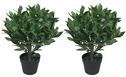 Leaf Design UK Pair of Artificial Bay Topiary Ball Trees, Mixed Materials, Green, 50cm
