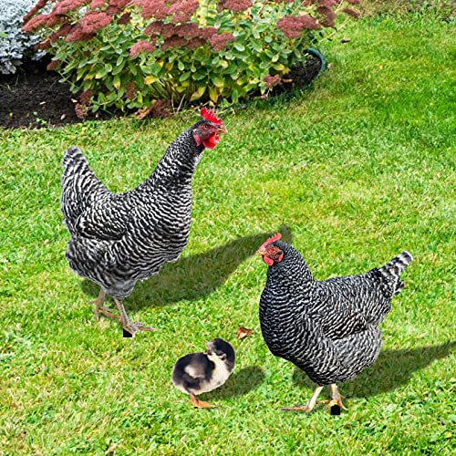 Huhn Familie Gartenstecker Gartenfigur Gartendeko Familie 3er Set Handarbeit Gartenstatue Dekorative Henne Gartenstecker Dekofigur Garten Figur Terrasse Statue Balkon Wohnzimmer Deko