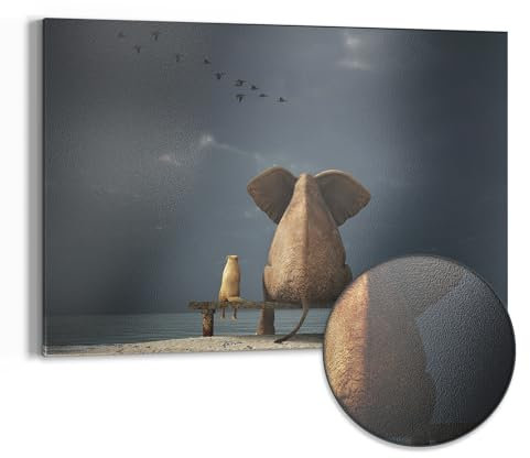 DEQORI Metall Magnettafel | 60x40 cm cm groß | Motiv Tierische Freunde am Meer | Whiteboard für alle Magnete | Magnetboard Wand-Tafel für Küche & Büro | Design Magnetwand Pinnwand magnetisch