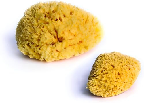 dBb Remond - Éponges Naturelles Pour Bain Bébé - Issues de la Mer Méditerranée - Douces et Absorbantes pour Hygiène et Confort au Quotidien - Lot De 2