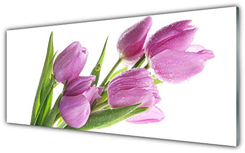 Tulup Acrylic Glass Print 125x50cm Wall Art - Wall Picture Plastic Acrylic Glass - Tulips Floral