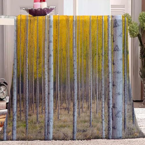 Weiße Birke Kuscheldecke Flauschig 220x240cm 3D Wald Fleecedecke Weich Sofadecke Warm Bettdecke Decken Wohndecke Tagesdecke Sofaüberwurf Decke Couchdecke Bettüberwurf G885