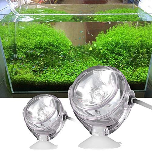 YWBL-WH Luce Subacquea a LED da 1W, Lampada a Riflettori Multicolore, per lo Stagno di Pesce, Piscina, Roccia, Fontana, ecc., Con Elevata luminosità e Basso (Specifiche: blu)