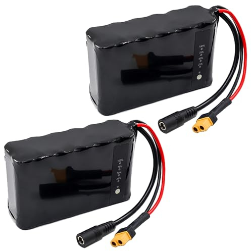 SSCYHT 12 Volt Lithium Battery 12V 22Ah Rechargeable Battery 18Ah Li-ion Batteries 12V Scooter Batteries with BMS and XT60 Port for 200W - 300W Motors,12V18Ah 2Pack