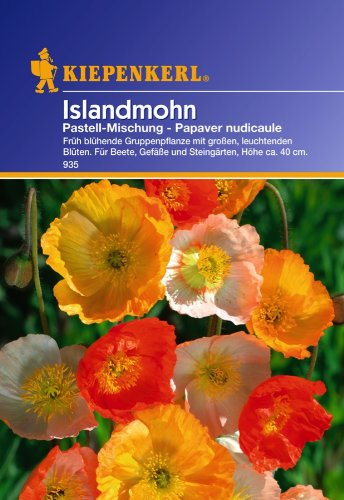 Kiepenkerl Islandmohn, Pastell-Mischung