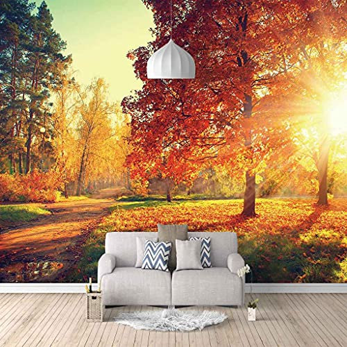 FVGKYS Wandbilder Schlafzimmer Erwachsene Kinder Tapete Plakate 3D Sonnenlicht Rote Bäume Selbstklebend Wandgemälde Wandtattoo Kunst Dekoration Für Wohnzimmer Küche Wanddekoration 200x150cm