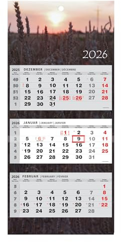 Kalender 2024 väggkalender 3-månaders kalender väggplanerare tremånadskalender fält