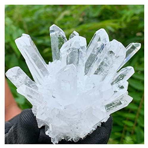 CZAOINCU Cristal Natural Áspero Natural Claro Roca Cristal de Cuarzo Racimos Espécimen Curación Inicio Colecciones