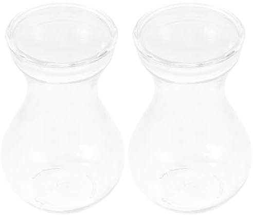 STOBAZA 2pcs Glass Hydroponic Plant Vases Simple Style Flower Containers for Desktop and Home Decoration