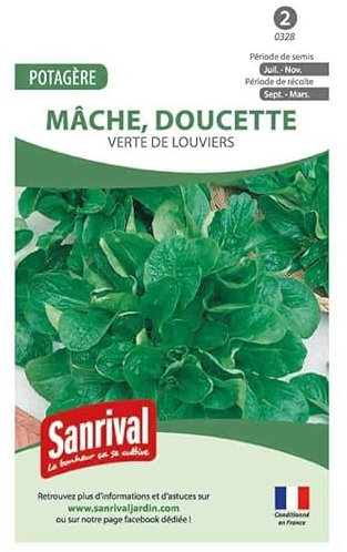 Graines Mâche Verte Louviers