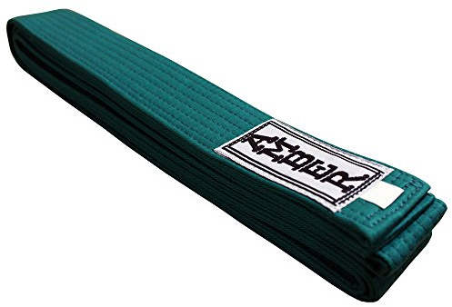 Amber Fight Gear Premium Karate Belt, 100% Cotton Canvas Martial Arts Belt for Karate, Taekwondo & Judo, Durable, Comfortable & Secure Fit, Ideal for Training & Competition, Green, Size 4-104 Inches
