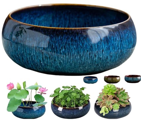 Maceta de loto, cuencos de loto para plantar en agua en interiores, cuenco de bonsái, maceta de semillas de flor de loto, decoración de macetas hidropónicas para interiores, maceta hidropónica blanca