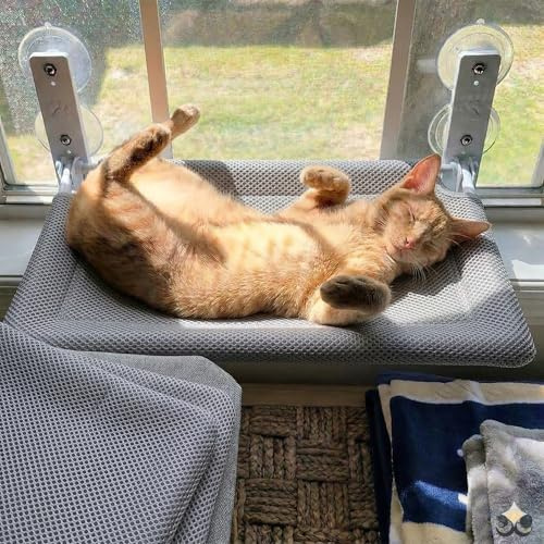 Hamaca Gato Ventana (52x30cm) Bestfriend® | Plegable, Lavable y Transpirable | Ventosas Reforzadas para Seguridad y Estabilidad hasta 18 kg (Gris)