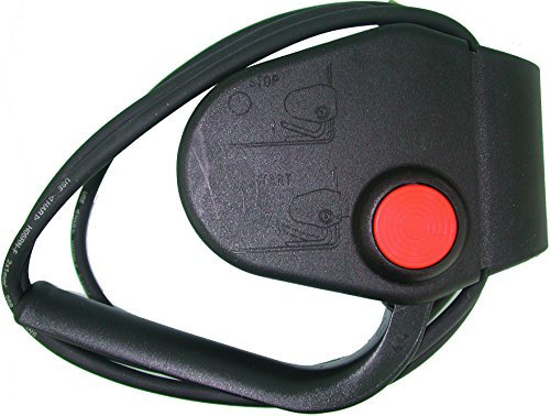 Greenstar 4833 – Interruptor de seguridad para cortacésped eléctrico 7 A cable H05RN F 2 x 1,0 x 1,8 m IP44