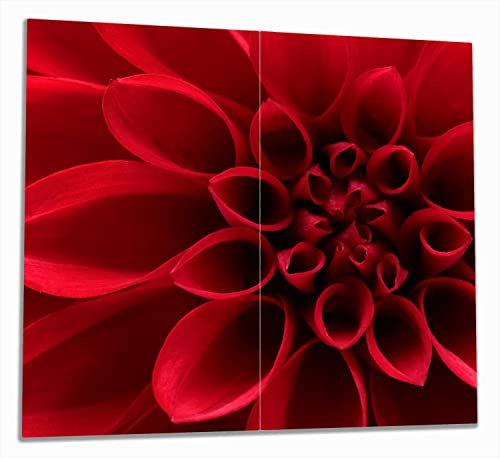 Wallario Herdabdeckplatte/Spritzschutz aus Glas, 2-teilig, 60x52cm, für Ceran- und Induktionsherde, Rote Dahlienblüte in Nahaufnahme