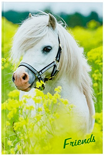 Pagna 20346-15 Freundebuch kleines Pony 60S