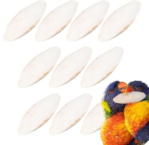 Sepiaschalen Für Vögel Schildkröten, 10 Stück Natürliche Sepia Schalen Tintenfischknochen, Tintenfische Zum Kauen Von Papageien, Sepiaschalen Für Schnecken, Mineralstoffversorgung Für Tieren