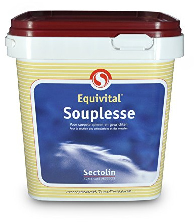 Sectolin Glucosamin, Chondroitin & MSM - 1kg