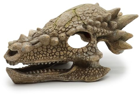 Amtra Wave A8011752 Drachen Schädel