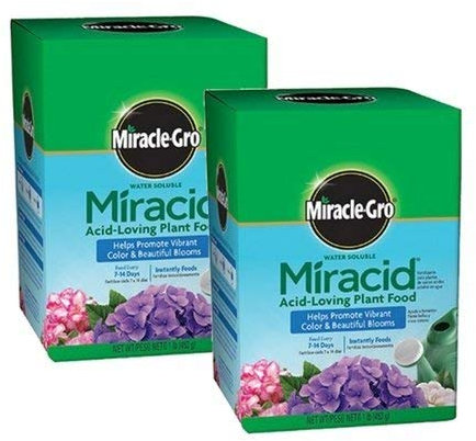Scotts Company Miracle-Gro 1750011 Water Soluble Miracid Acid-Loving Plant Food, 1-Pound (2)