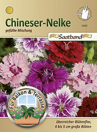 N.L. Chrestensen 53020 Dianthus gefüllte Mischung Saatband (Nelkensamen)