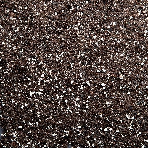 Premium Houseplant Potting Mix with activated Biochar, potting soil for indoor plants (2L)