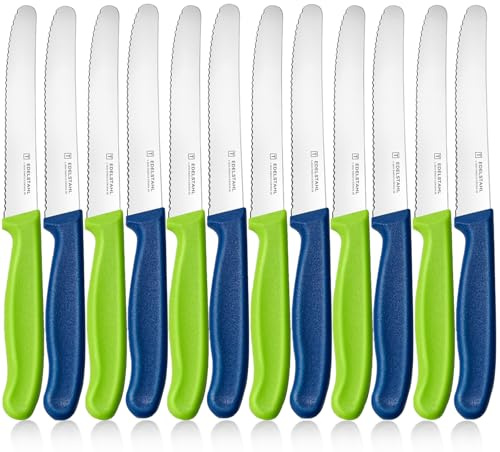 targzier Frühstücksmesser 12 Stück,Wellenschliff,Blau&Grün,Tomatenmesser | Rostfreie Klinge 11cm Messer Set,Langlebiges Gefro Messer,Tafelmesser,Ergonomische Kunststoffgriff Brotmesser Kleine