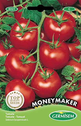 Germisem Tomate MONEYMACKER, mehrfarbig, EC8021