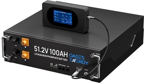 Oasesenergy 48V 100Ah LiFePO4 Lithium Batterie, 5120Wh 48V Lithium Akku mit 100A Smart BMS, Berührbarer LCD Bildschirm, Für Solar und PV, Haushalt, Camping, Wohnmobile, Energiespeicher für Zuhause