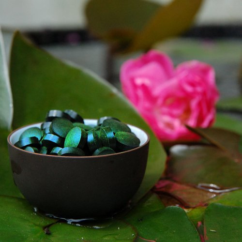 Premium Spirulina platesis tabletter 1 kg till 250 mg vardera