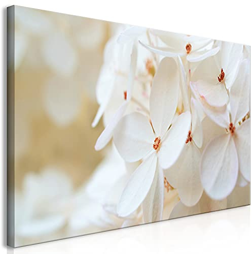 murando Cuadro Mega XXXL Flores 200x100 cm Cuadro en Lienzo en Tamano XXL Estampado Grande Gigante Imagen Para Montar por uno Mismo Decoración De Pared Impresión DIY blanco Hortensia b-B-0510-ak-e