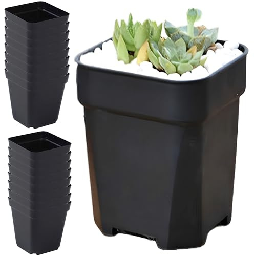 JIAMIAN 30PCS Vassoio Per Semi, Vaso Di Plastica Orticolo Nero, Vassoio Di Crescita Delle Piantine, Vassoio Di Germinazione Delle Piante 7x7cm, Adatto Per Germinazione Delle Piante Interne ed Esterne