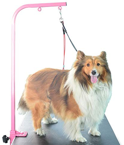 Gravitis Fellpflege-Set für Hunde mit Hals- und Lendenhaltern, zur Anwendung mit Trimmtisch