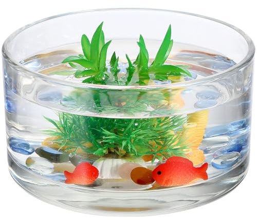 Générique Grand Vase à Fleurs en Verre Transparent, Terrarium pour Plantes Succulentes, Pot Décoratif pour Mariage Et Salon, 15x15x8cm