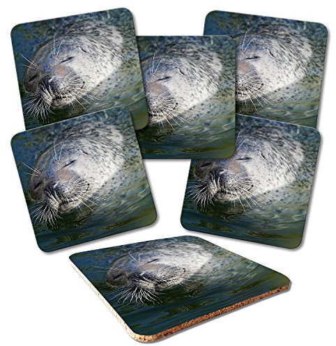 ADDIES Glas-Untersetzer 6-TLG.Set Bedruckt Motiv Seehunde Robben in hochwertiger Klarsicht-Geschenkbox und Korkrückseite, Tier-Motiv