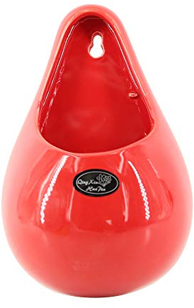 oamore Wandvase Keramik Blumentöpfe Wandbehang Pflanzer Blumenvase Töpfe Sukkulenten ideal für Zuhause oder als Büro-Dekoration (D)