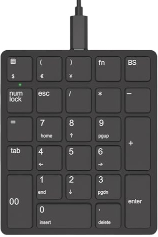 LINKEET Mini tastierino numerico a 26 tasti con calcolatrice e simboli di valuta finanziaria, portatile, mini tastierino numerico per Windows, PC, computer, laptop, notebook, desktop (nero)
