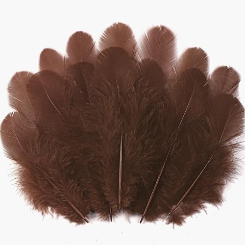 Braune Federn zum Basteln, 7,6–12,7 cm, für Hochzeit, Zuhause, Party, Traumfänger-Zubehör und Bastelarbeiten (braun), 300 Stück
