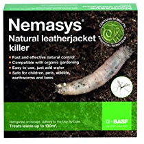 Nemasys leatherjacket killer (100sqm pack)