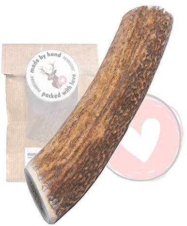 FOURLEGS® natürlicher Kausnack für Hunde aus 100% Hirschgeweih - Mineralstoffe, Kauspielzeug, Kaustange, Wildgeschmack, Geweih, Knochen, Hirsch, Kauartikel - Größe M ganz